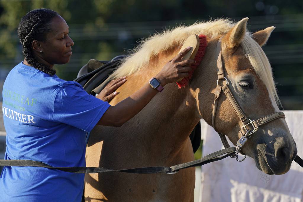 Dionne Williamson, of Patuxent River, Md., grooms Woody before her riding lesson at Cloverleaf Equine Center in Clifton, Va., Tuesday, Sept. 13, 2022.