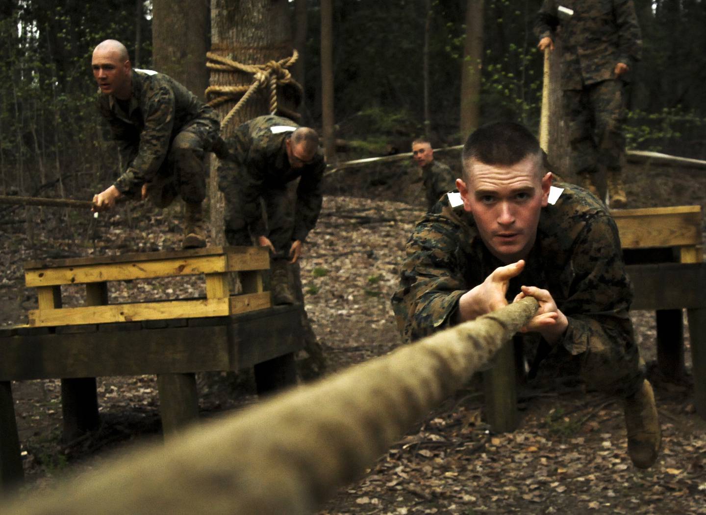 Mecep Acceptance Rate