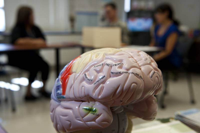Department of Defense civilians and active duty service members attend a Traumatic Brain Injury Open House event March 20, 2014, at Tripler Army Medical Center located in Honolulu, Hawaii.