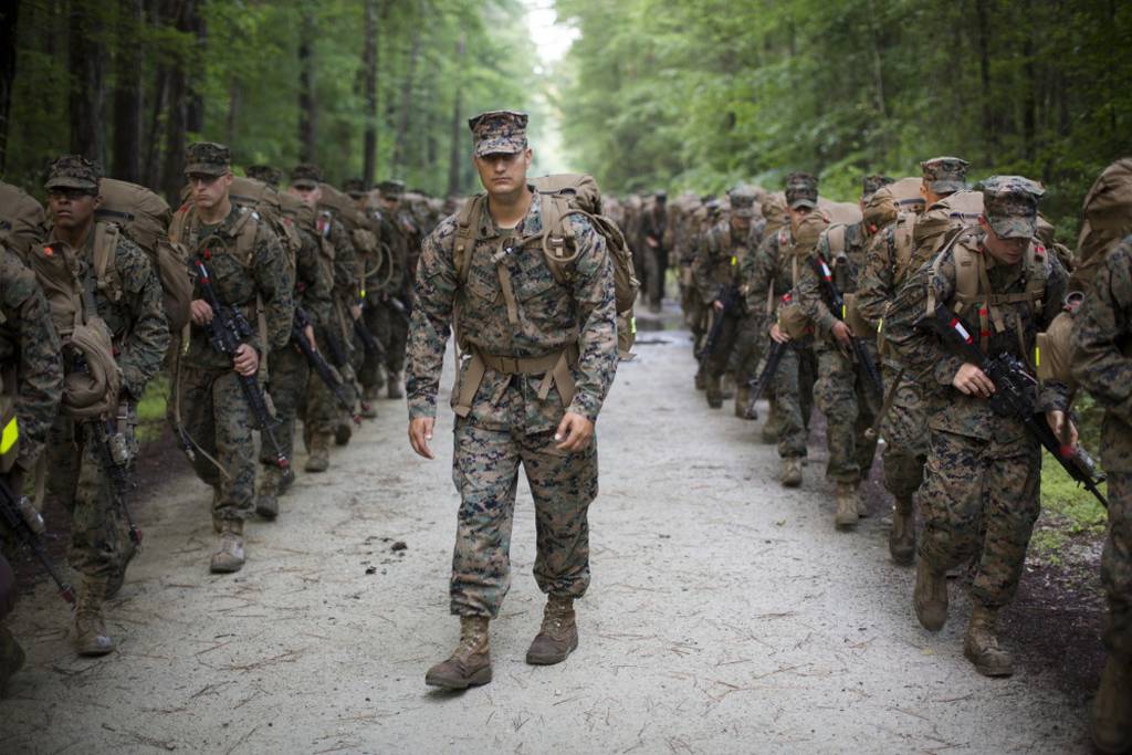 Marines will now wear woodland green camouflage uniforms all year