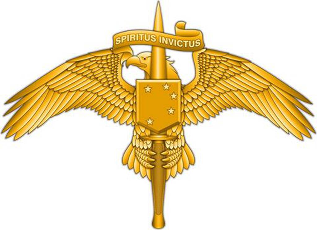 US USMC MARINE CORPS SPECIAL FORCES MARSOC RAIDER REGIMENT BADGE PIN BRONZE