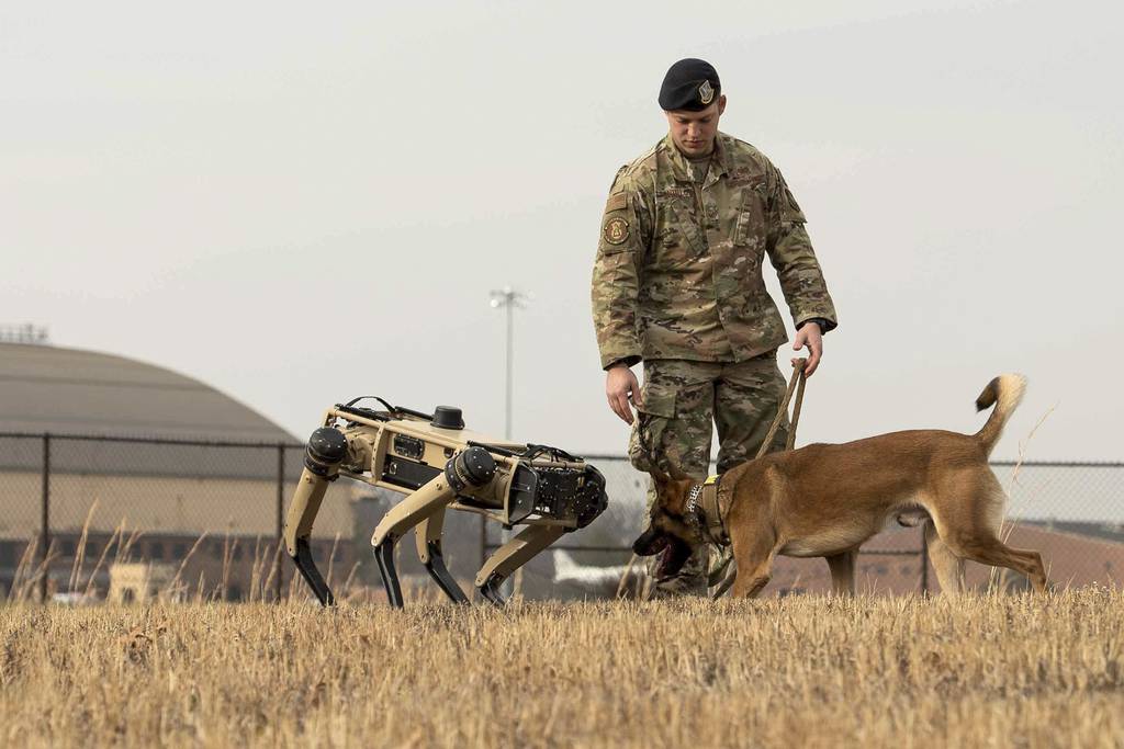 U.S. Air Force Staff Sgt. Carmen Pontello, 375th Security Forces Squadron military working dog trainer, introduces Hammer to the Ghost Robotics Vision 60 at Scott Air Force Base, Ill., Dec. 17, 2020.
